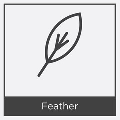 Poster - Feather icon isolated on white background