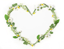 Heart Symbol Made Of Spring Flowers And Leaves Isolated On White Background. Flat Lay. Top View.