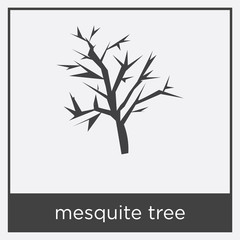 Wall Mural - mesquite tree icon isolated on white background