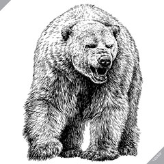 black and white engrave isolated bear vector illustration
