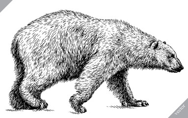black and white engrave isolated bear vector illustration