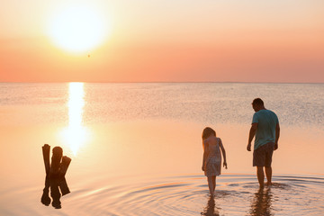 Wall Mural - father with daughter walking by the sea