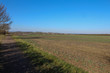 Countryside field on a sunny day