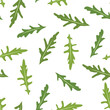 Seamless pattern with rucola or arugula.