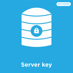Wall Mural - Server key icon isolated on blue background