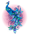 Vector illustration, modification of a blue peacock, a long tail with a decorative style.