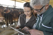 © goodluz - Farmer with veterinary in cow shed connected with digital tablet