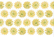 © Denys Kurbatov - floral pattern