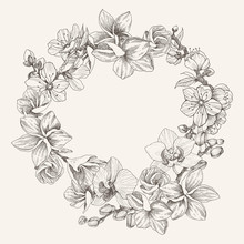 Wreath Flower Orchid, Plumeria, Blossom Cherry, Place For Text. Vintage Frame Background. Hand Drawn Nature Painting. Freehand Sketching Illustration For Wedding, Logo, Design