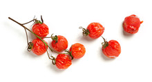 Grilled Cherry Tomatoes
