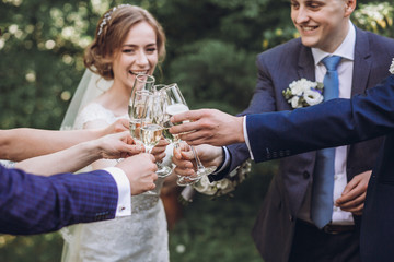 happy group of people toasting with champagne. hands holding glasses of champagne and clinking. bride bridesmaids and groom groomsmen having fun. holiday celebration.