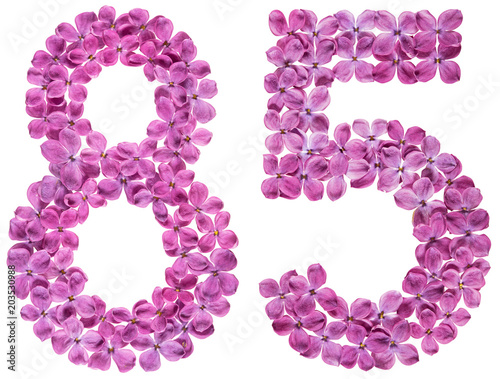 Fotografia Arabic numeral 85, eighty five, from flowers of lilac, isolated on white backgro