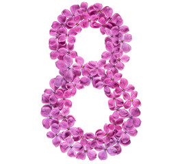 Arabic numeral 8, eight, from flowers of lilac, isolated on white background