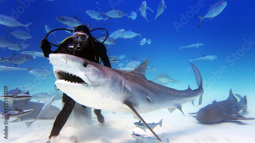 Fotografía Portrait of a diver giving food to a shark