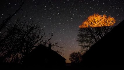 Wall Mural - Timelapse of stars over timber house at night. 