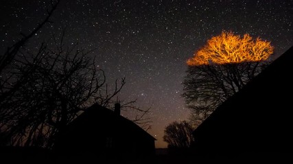 Wall Mural - Timelapse of stars over timber house at night. 