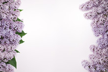 Beautiful Lilac Flowers On Both Sides Of The Screen. On One Side Are Flowers With Leaves. A Photo From A Close Distance. Flowers Isolated On White Background.