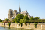 Fototapeta Paryż - Springtime view of Notre-Dame de Paris cathedral under a blue sky with the river Seine in the foreground and the trees of the John XXIII park.