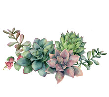 Watercolor Succulent Bouquet With Berries. Hand Painted Green And Violet Flowers, Branch And Red Berries Isolated On White Background. Floral Illustration For Design, Fabric, Print Or Background.