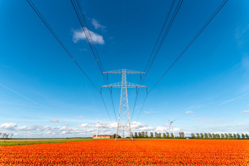 Modern high powerlines