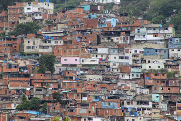 Wall Mural - A view shows the slum of El Valle, Venezuela