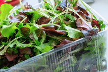Macro Closeup Of Mixed Green Salad In Box