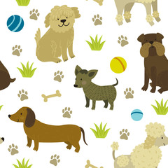 Vector seamless pattern with cute dogs: bulldog, dachshund, bobtail, poodle, chihuahua. Repeating texture with funny cartoon characters. Childish background.