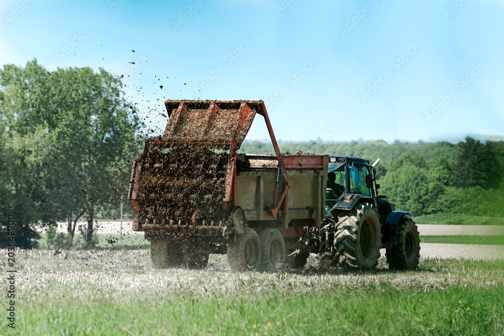 tracteur agricole avec remorque épandage de fumier en action sur le champ - obrazy, fototapety, plakaty 