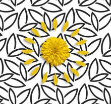 Yellow Flower And Petals On The Black White Floral Background. Modern Abstract Floral Background