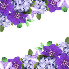 Fotomurales - Beautiful floral background of clematis and hyacinth 