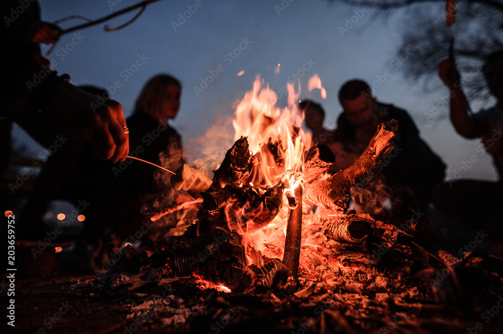 Young and cheerful friends sitting and fry marshmallows near bonfire at night - obrazy, fototapety, plakaty 