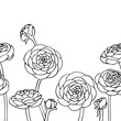 vector contour ranunculus rose flowers bud coloring book pattern elements  seamless repeating