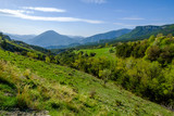 Fototapeta Natura - Paysage des Alpes de Haute Provence au printemps prés de village de Castellane. France. 