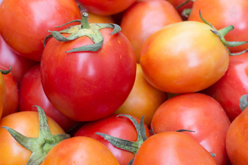 fresh tomatoes for cooking