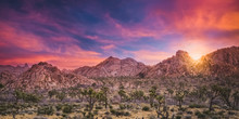 Desert Sunset - Joshua Tree National Park