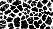 Black White Animal Skin Texture Giraffe Pattern Print