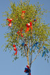 Ein Maibaum oder Pfingstbaum farbenfroh geschmückt