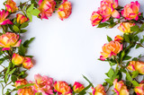 Fototapeta Tulipany - Orange roses decoration with place for text