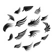 Wing icons set in simple ctyle. Birds and angel wings set collection vector illustration