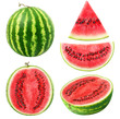 Isolated watermelons. Collection of whole and cut watermelon fruits isolated on white background with clipping path