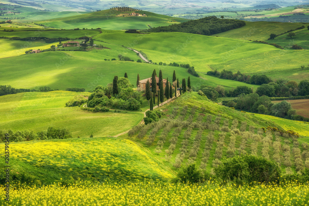 Tuscany spring, Landscape, Italy - obrazy, fototapety, plakaty 