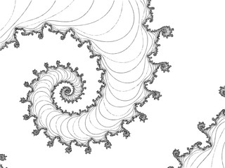 outline drawing of the fractal spiral