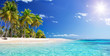 Leinwandbild Motiv Palm Beach In Tropical Paradise - Guadalupe Island -  Caribbean

