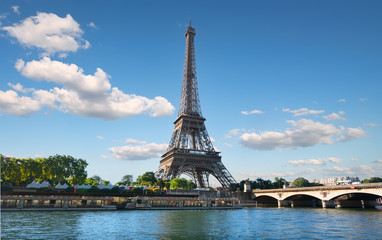 Wall Mural - river and bridge in paris