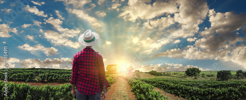 Fotografía Farmer or working with hat on coffee field at sunset field