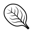 Spinach vegetable leaf line art vector icon for food apps and websites