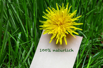 Sticker - Natürlichkeit Visitenkarte im Gras mit Löwenzahnblüte