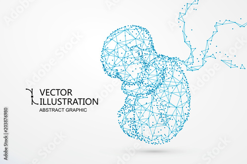 Fotografie, Obraz Artificial nurtured bionic fetuses, points and lines connected, vector illustration