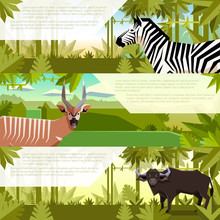 Set Of Flat Banners With African Animals