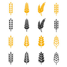 Black And Yellow Wheat Ears Silhouettes Vector Icons